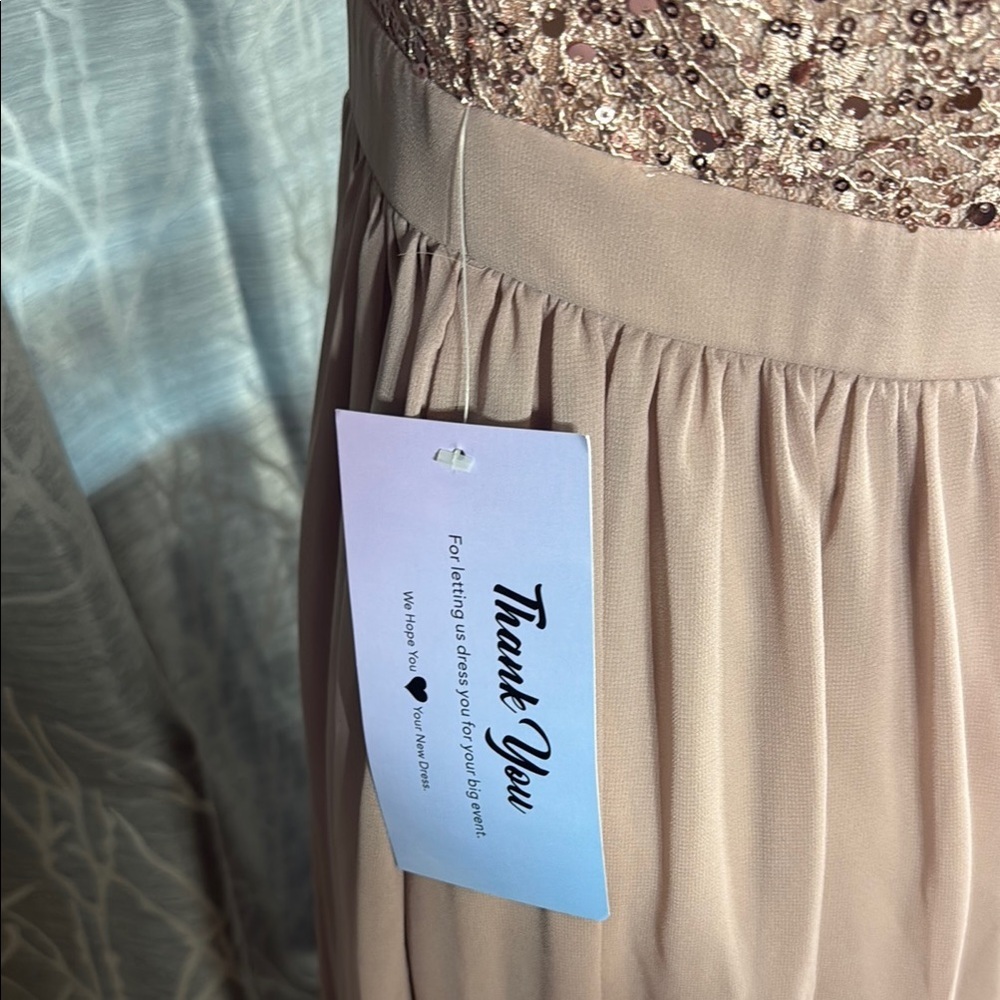 PromGirl Blush Maxi Dress with Sequin Detail Size Large - Picture 11 of 12